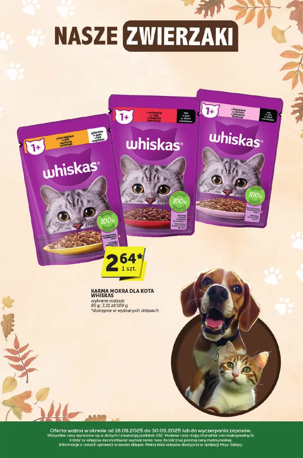 gazetka promocyjna groszek Katalog - Strona 34