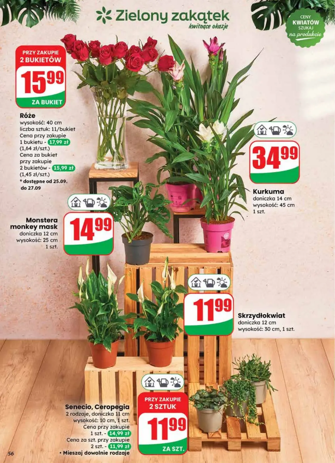 gazetka promocyjna dino  - Strona 56