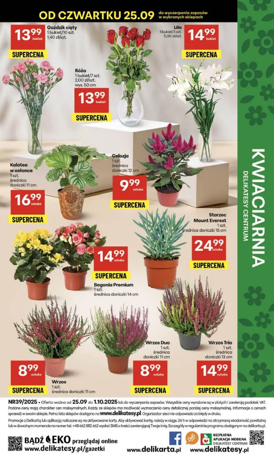 gazetka promocyjna Delikatesy Centrum Od czwartku - Strona 52
