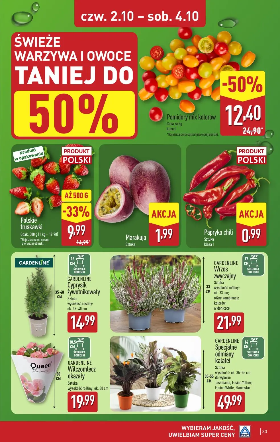 gazetka promocyjna ALDI Raz ALDI, zawsze coś z ALDI - Strona 33