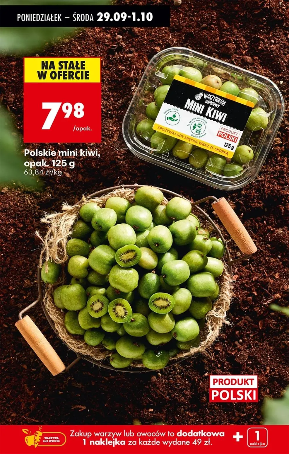 gazetka promocyjna Biedronka Lada tradycyjna. Od poniedziałku - Strona 69