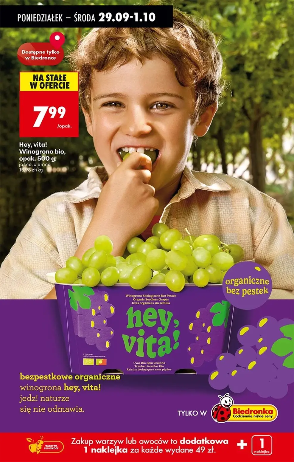 gazetka promocyjna Biedronka Lada tradycyjna. Od poniedziałku - Strona 83