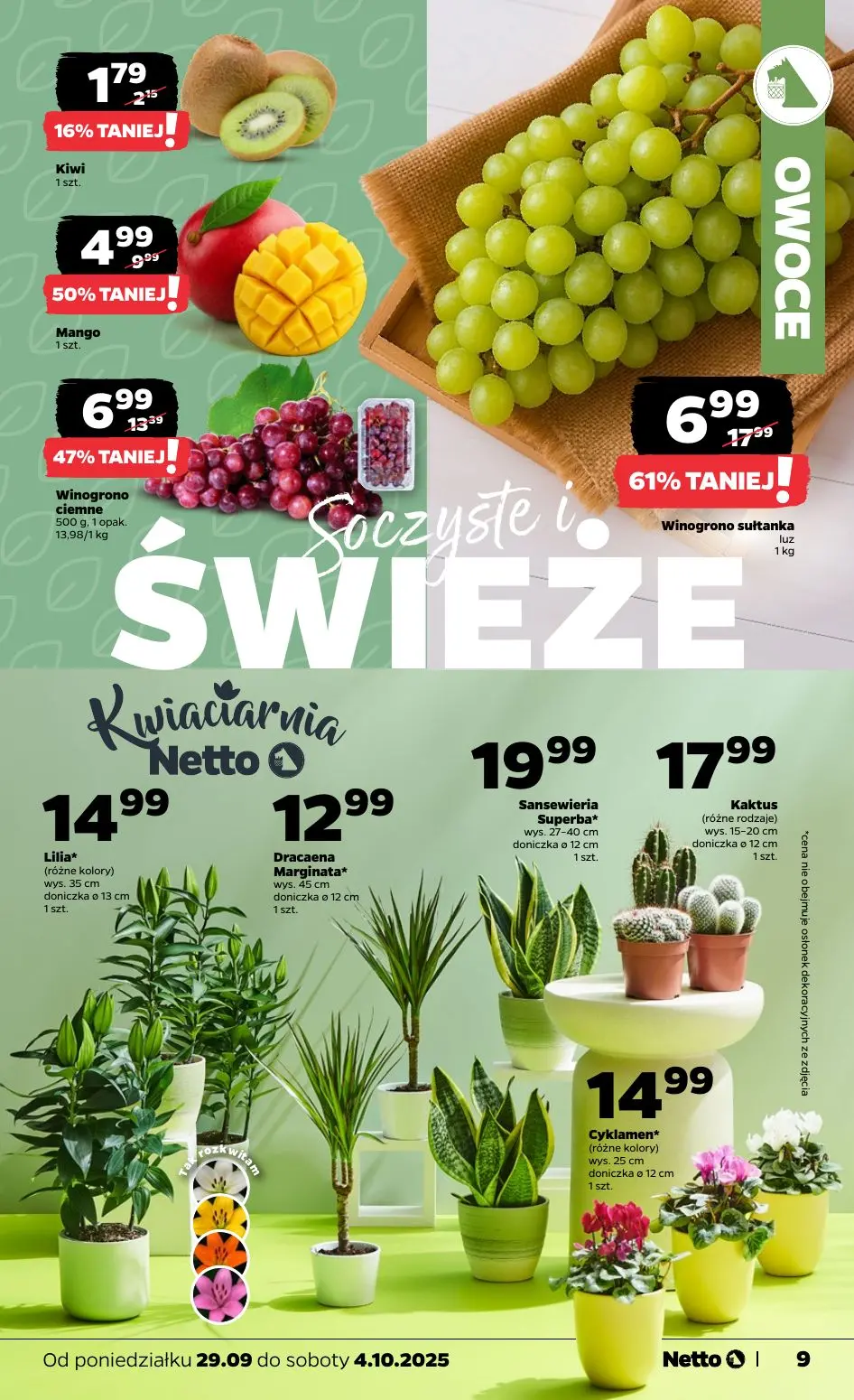 gazetka promocyjna NETTO Tanio i świeżo - Strona 9