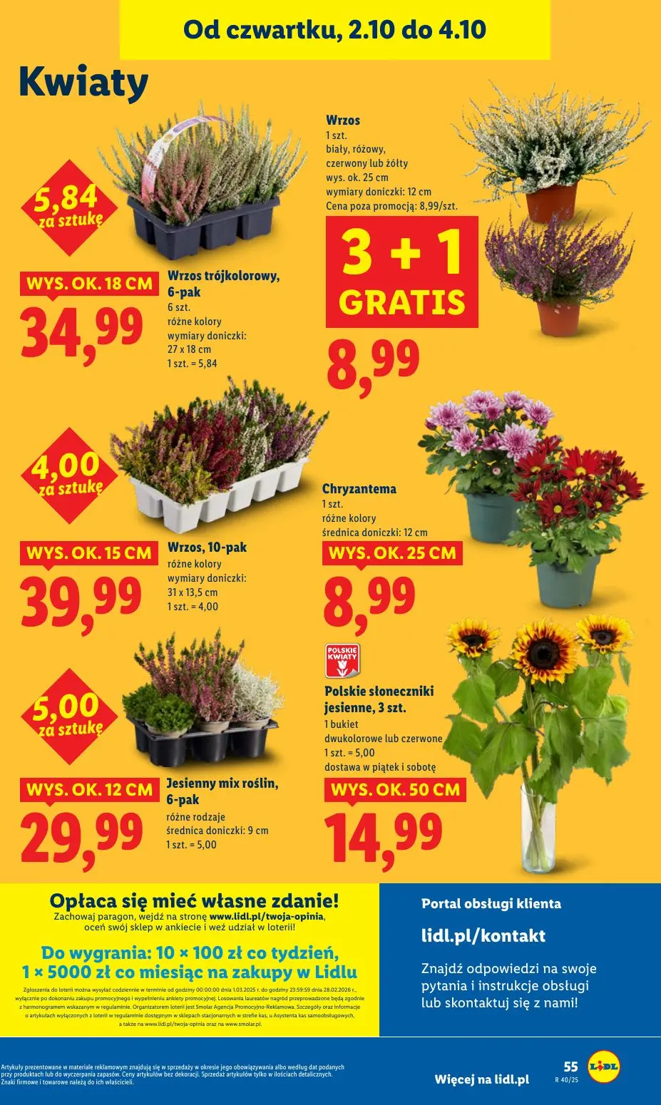 gazetka promocyjna LIDL Od czwartku - Strona 59