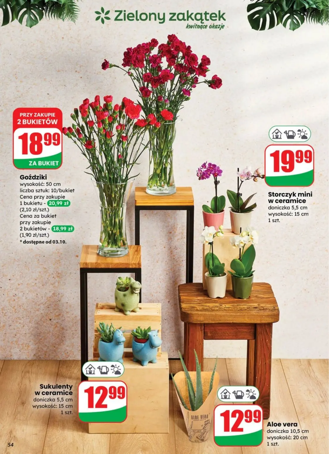 gazetka promocyjna dino  - Strona 54
