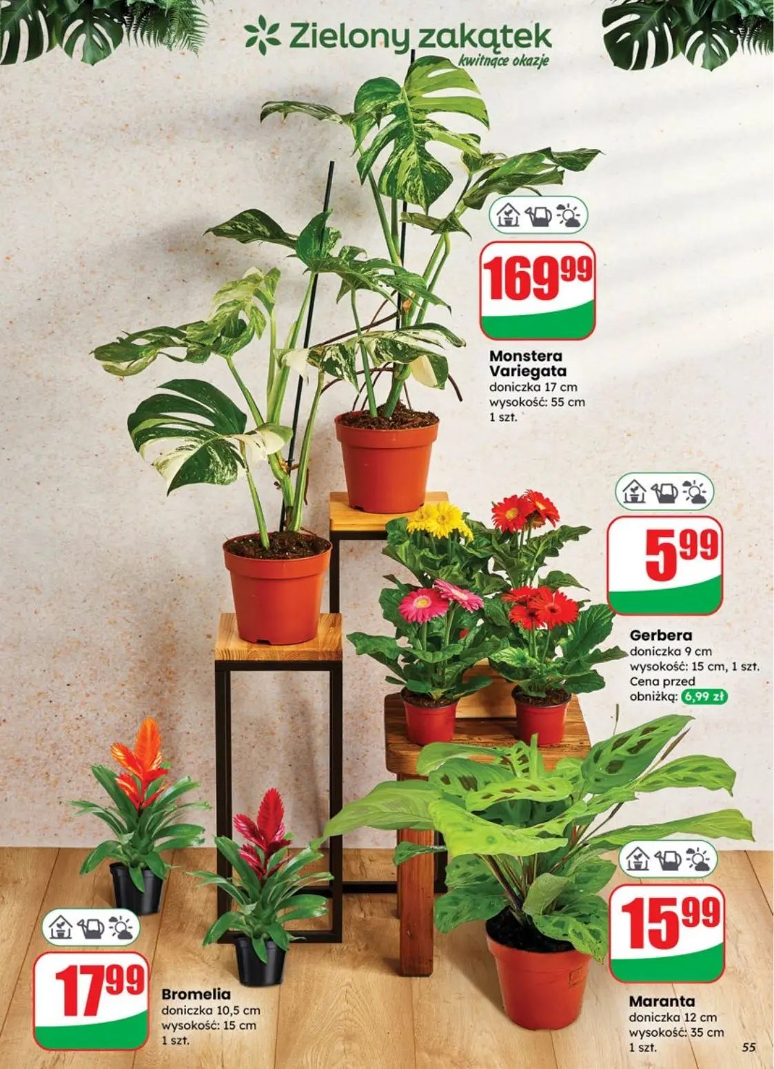 gazetka promocyjna dino  - Strona 55