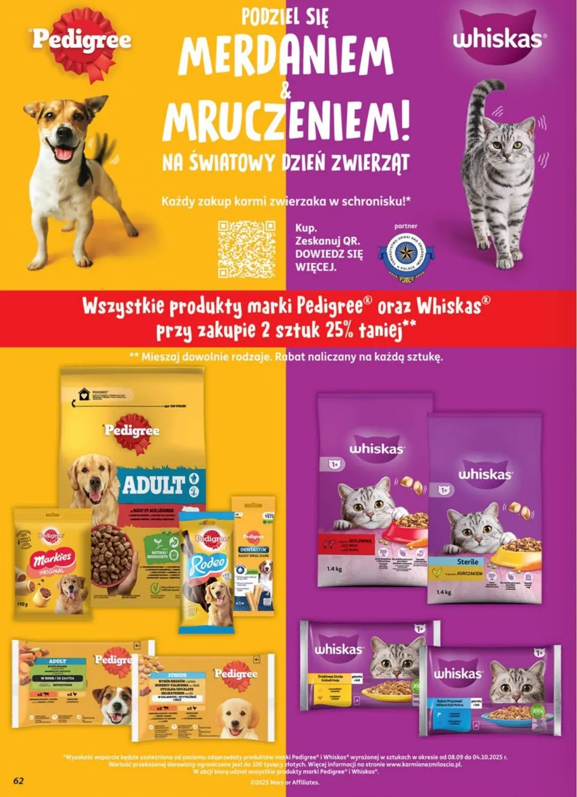 gazetka promocyjna dino  - Strona 62