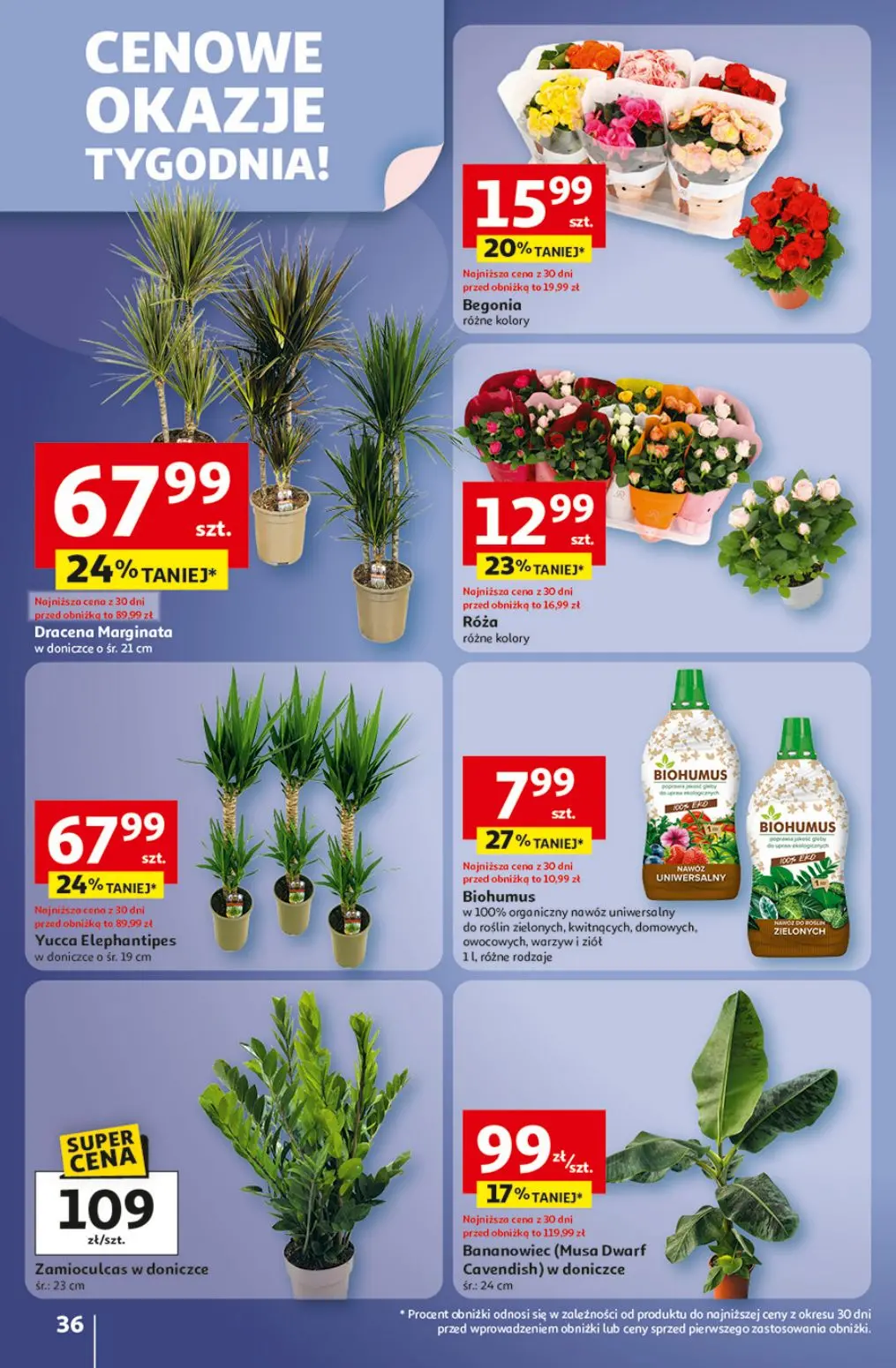 gazetka promocyjna Auchan Pewność niskich cen - Strona 36