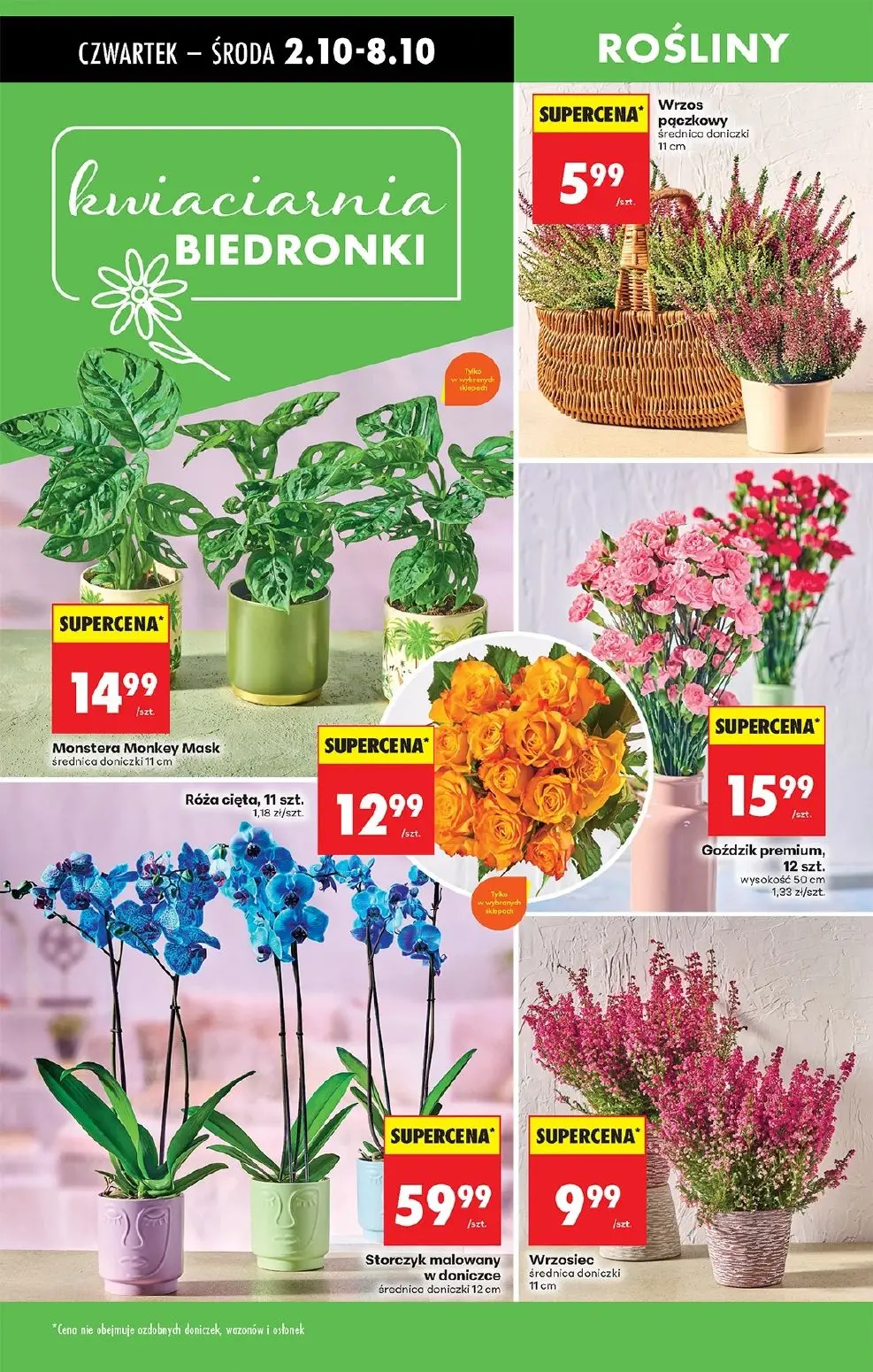 gazetka promocyjna Biedronka Od czwartku - Strona 73