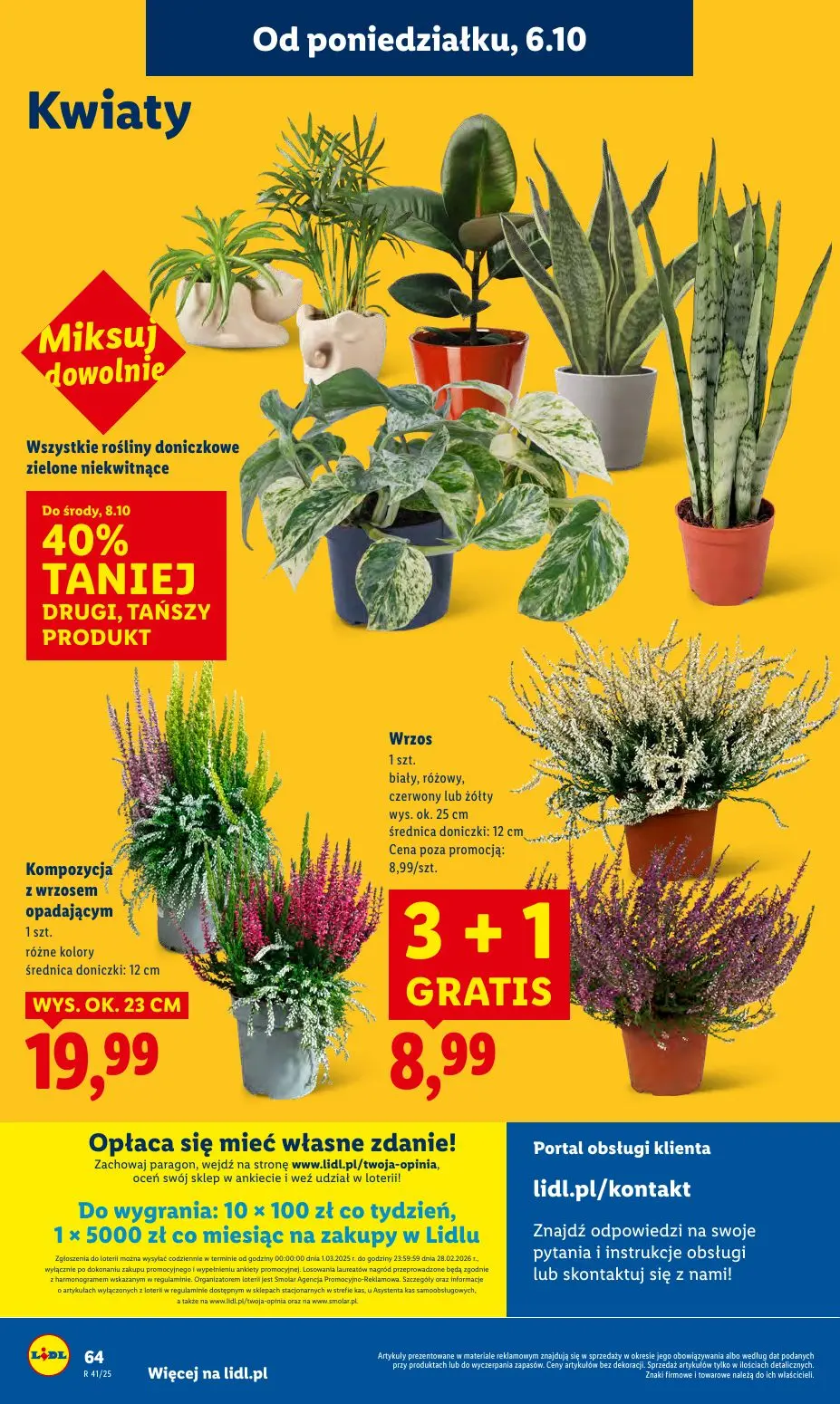 gazetka promocyjna LIDL Od poniedziałku - Strona 66