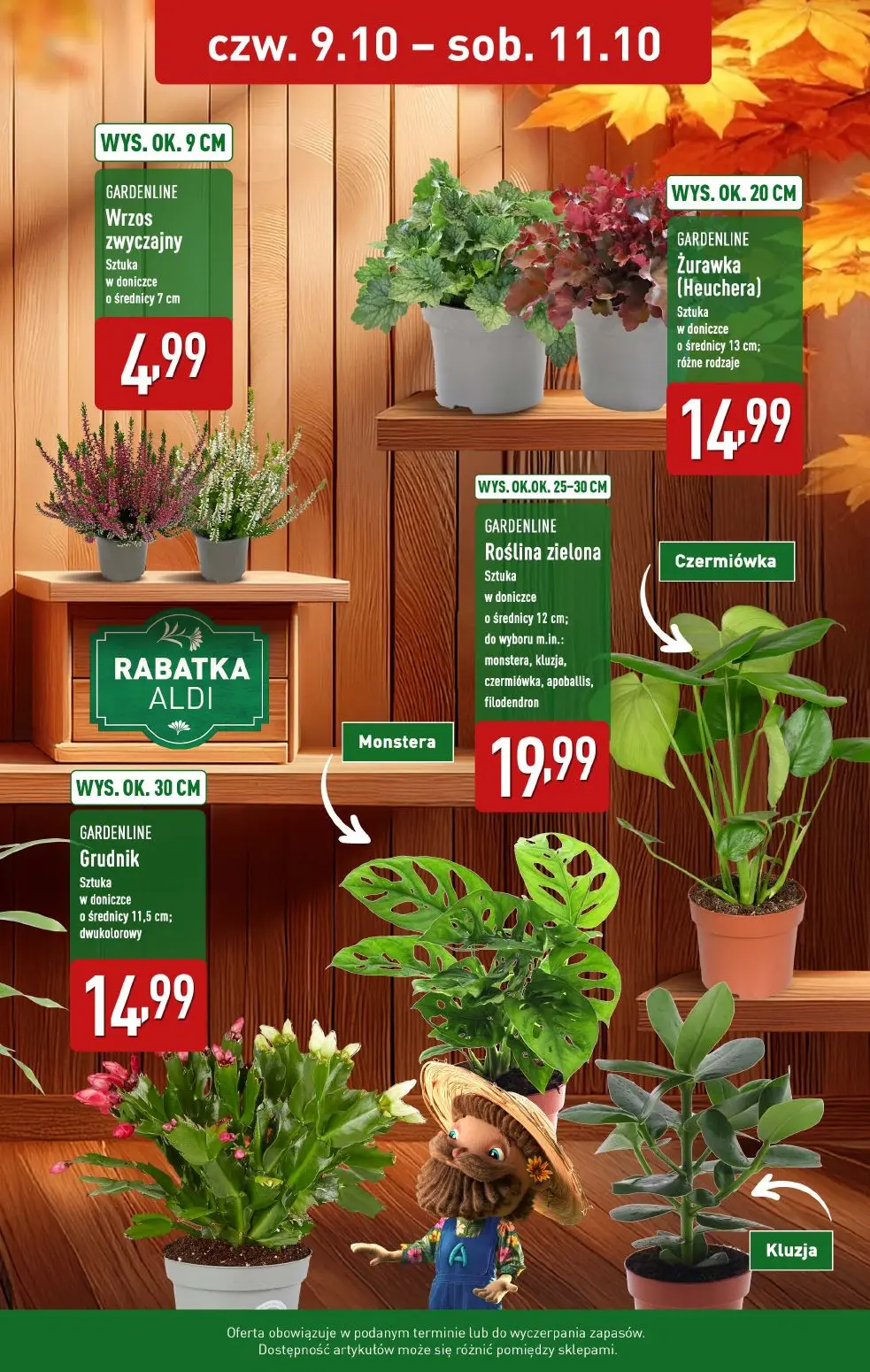 gazetka promocyjna ALDI Farmer Aldik poleca kwiaty na Dzień Nauczyciela 🪴 - Strona 2