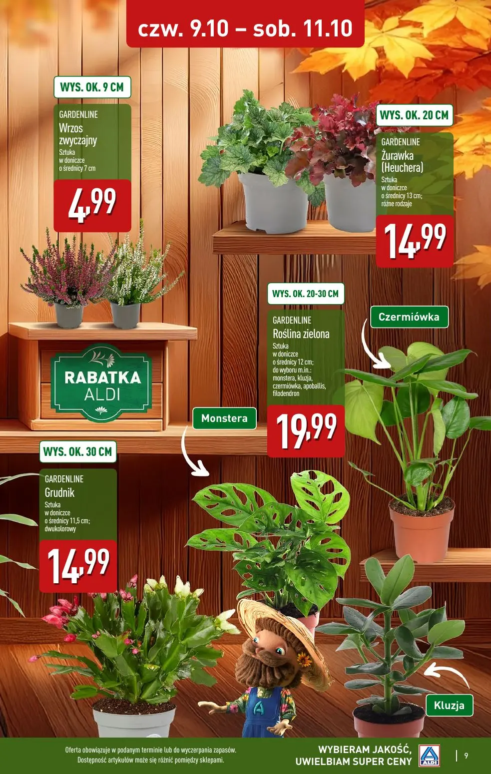 gazetka promocyjna ALDI Farmer Aldik poleca - Strona 9