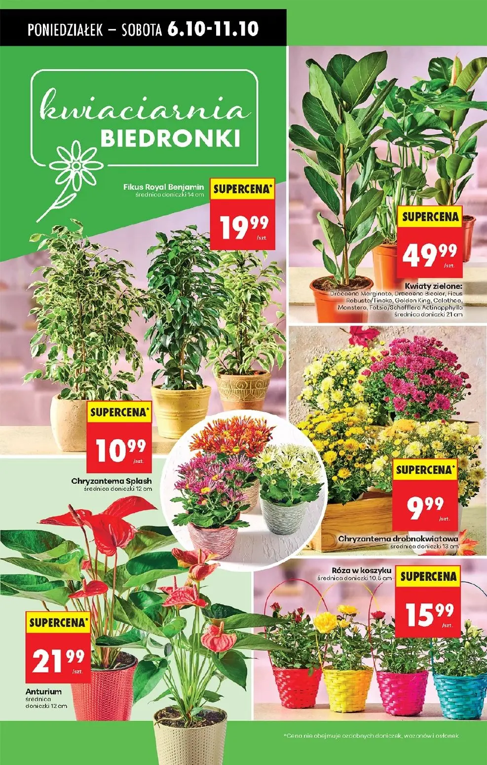 gazetka promocyjna Biedronka Lada tradycyjna. Od poniedziałku - Strona 26
