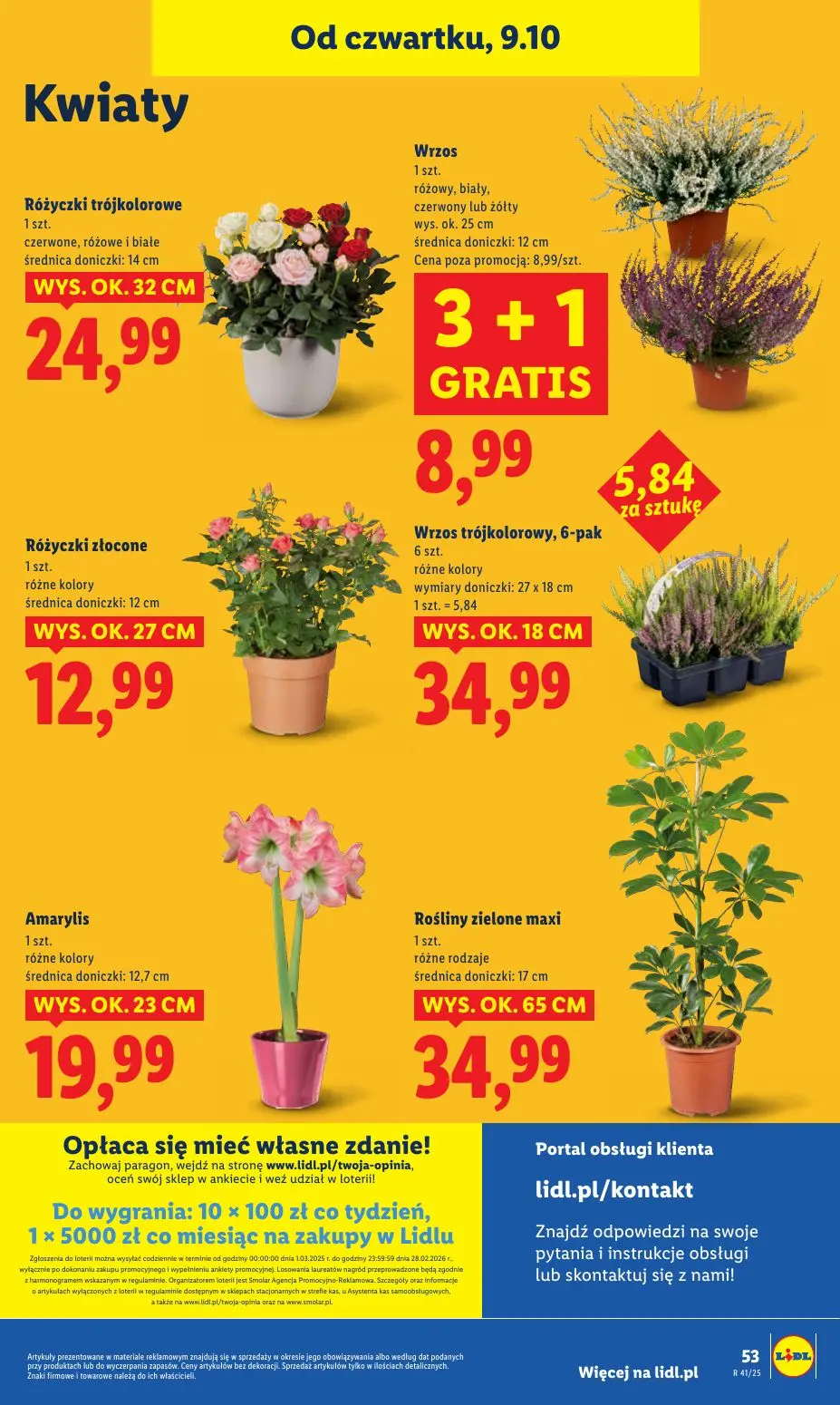 gazetka promocyjna LIDL Od czwartku - Strona 59