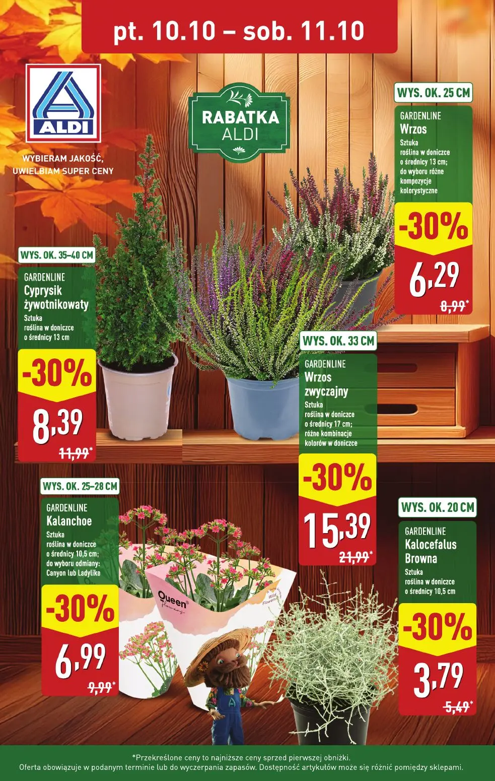 gazetka promocyjna ALDI Rabatka Aldi - Strona 1