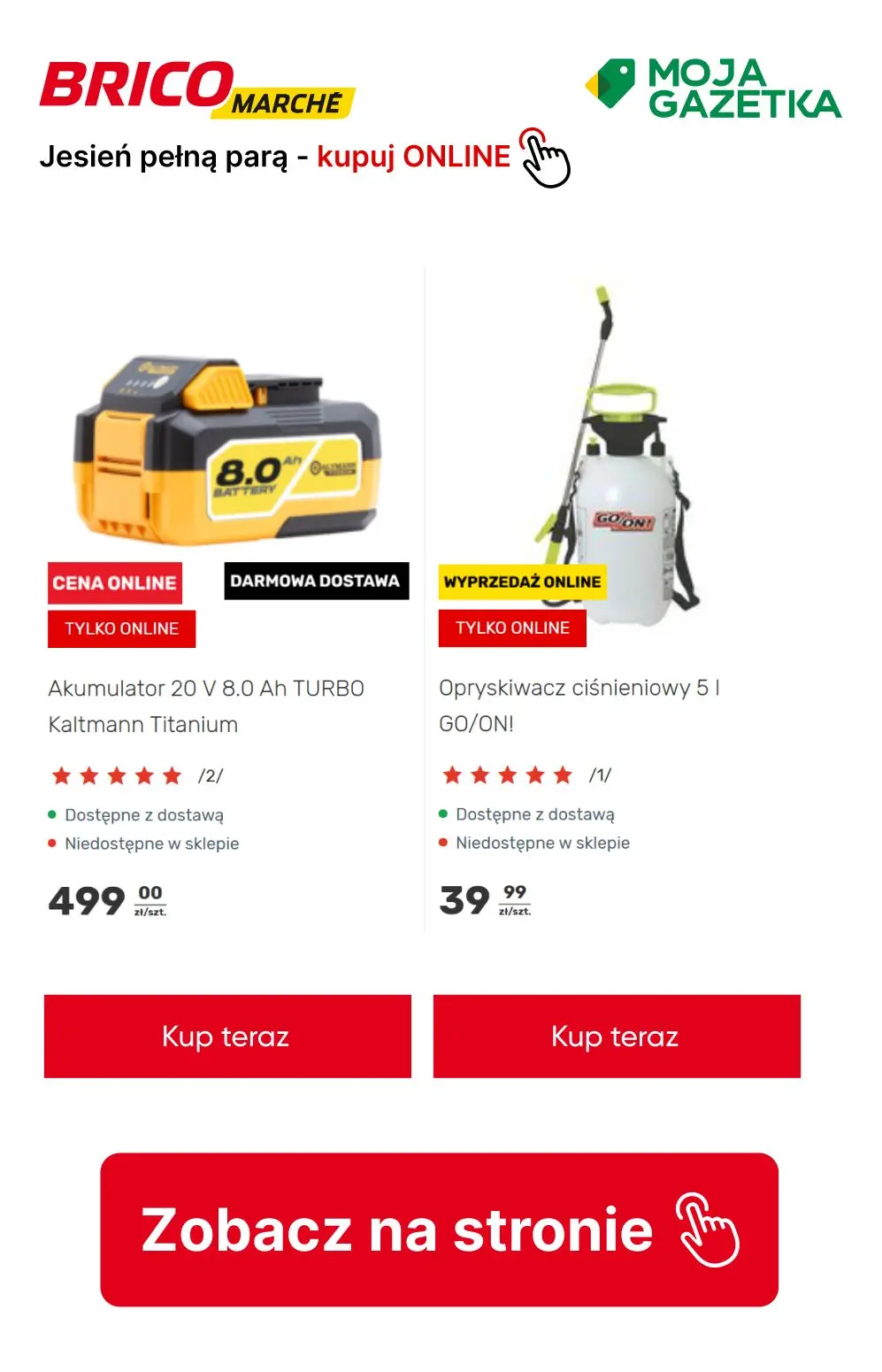 gazetka promocyjna BRICOMARCHE Jesień pełną parą - kupuj ONLINE! - Strona 9