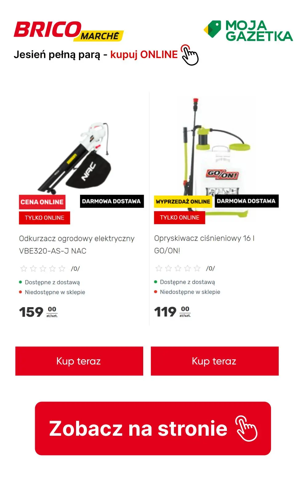gazetka promocyjna BRICOMARCHE Jesień pełną parą - kupuj ONLINE! - Strona 14