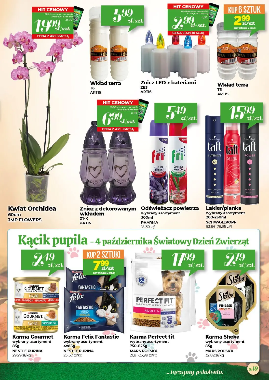 gazetka promocyjna Społem Kielce Jakość wyższa od ceny - Strona 19