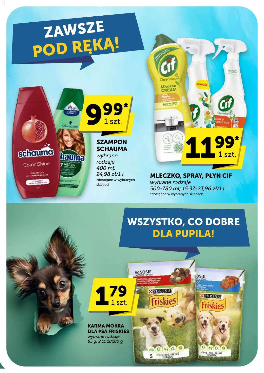 gazetka promocyjna groszek Market - Strona 41