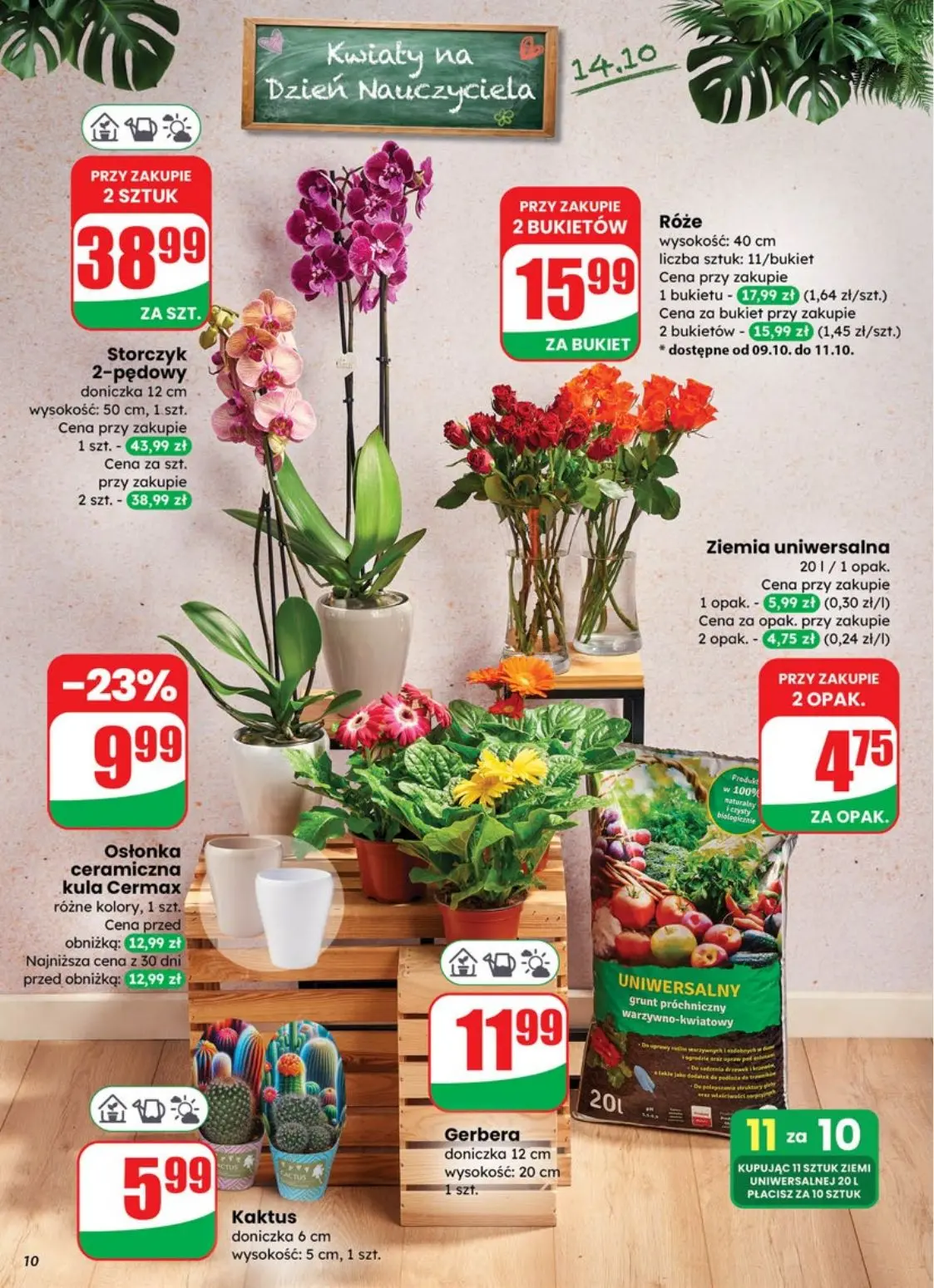 gazetka promocyjna dino Najbliżej Ciebie - Strona 10