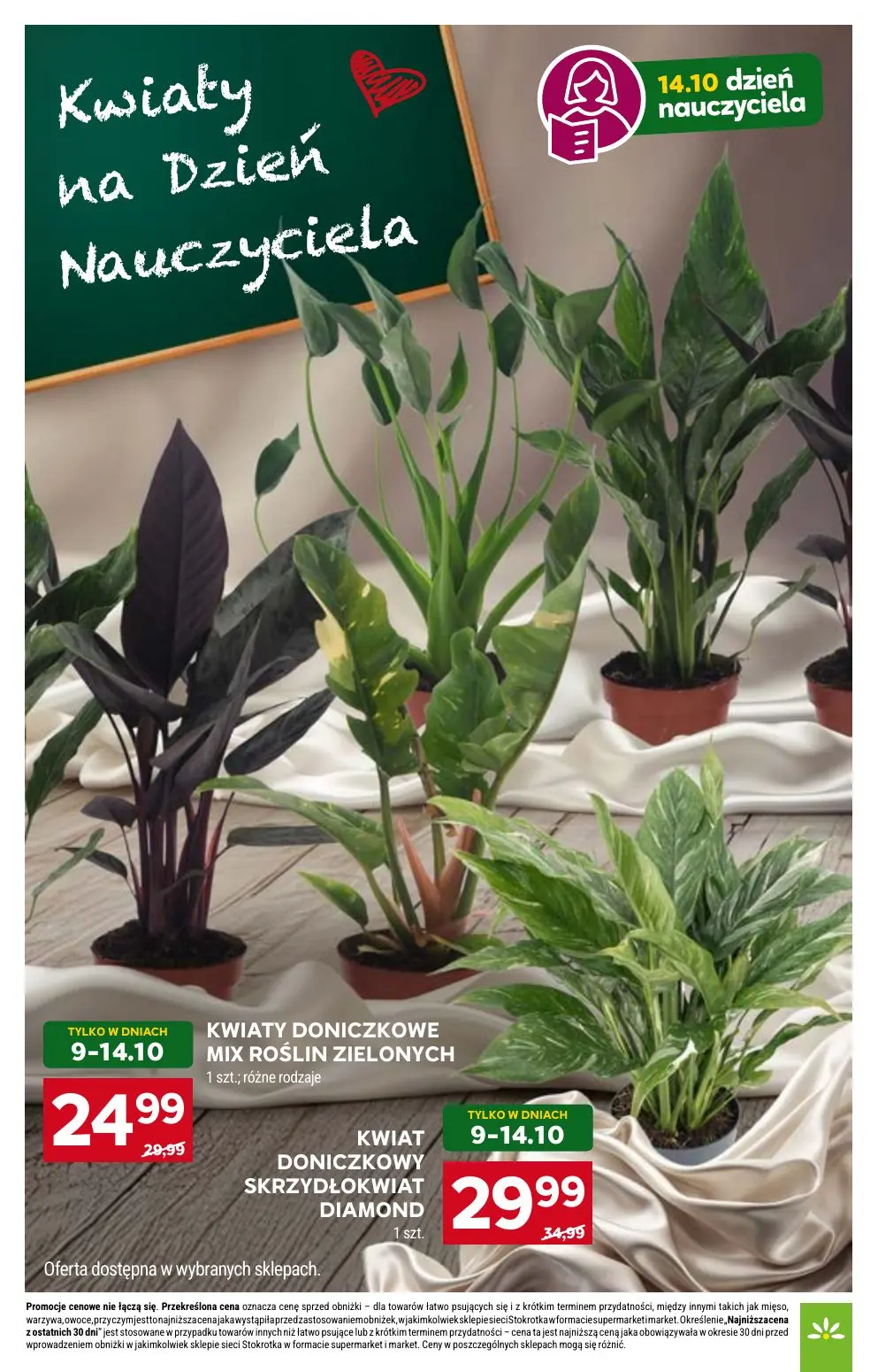 gazetka promocyjna Stokrotka Market Od czwartku - Strona 8