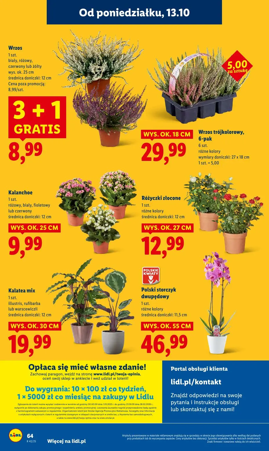 gazetka promocyjna LIDL Od poniedziałku - Strona 64