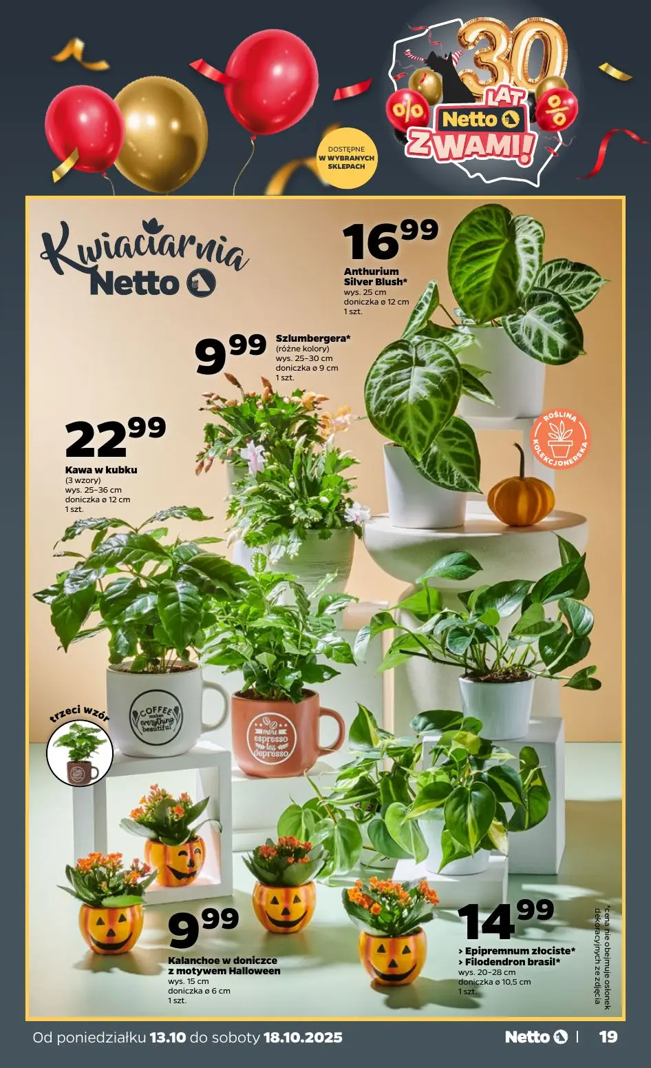 gazetka promocyjna NETTO Od poniedziałku - Strona 19