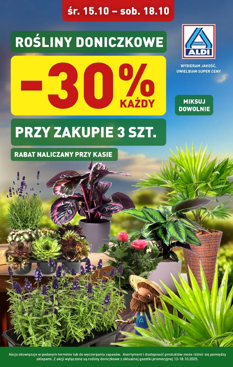 gazetka promocyjna ALDI Rośliny doniczkowe - Strona 1