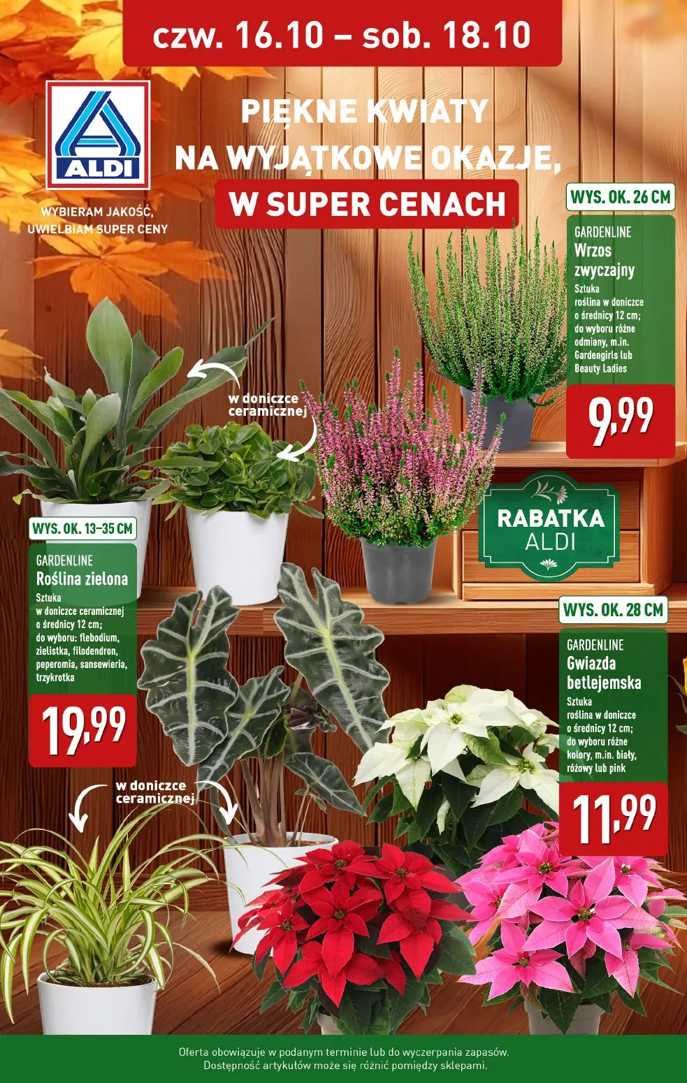 gazetka promocyjna ALDI Piękne kwiaty - Strona 1