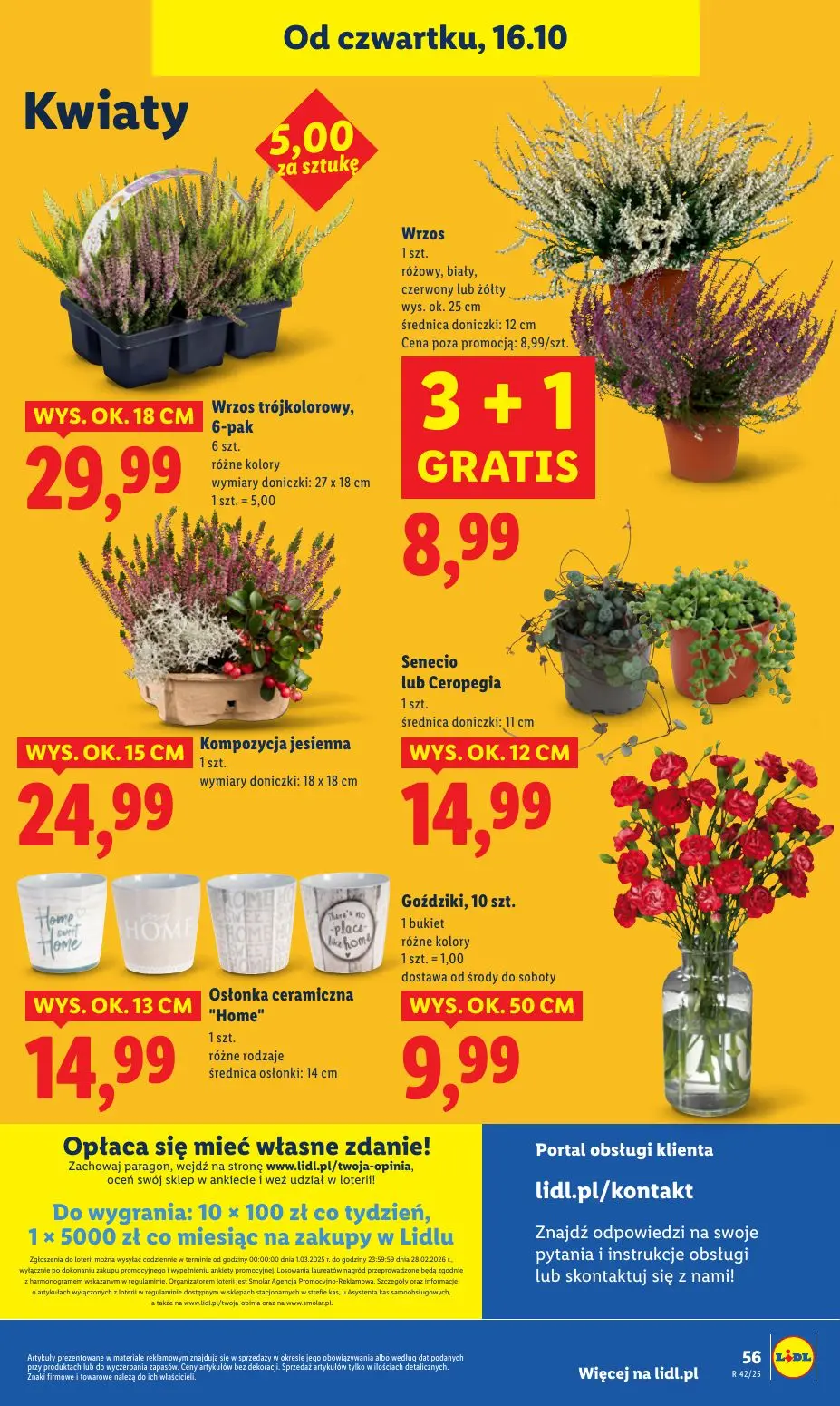 gazetka promocyjna LIDL Od czwartku - Strona 60