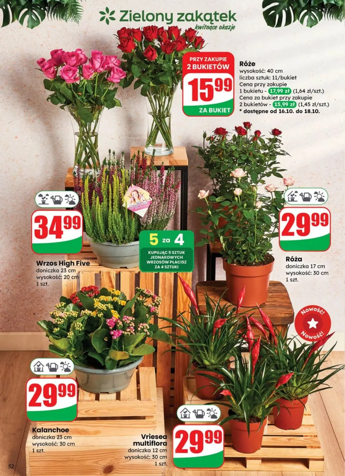 gazetka promocyjna dino Najbliżej Ciebie - Strona 52