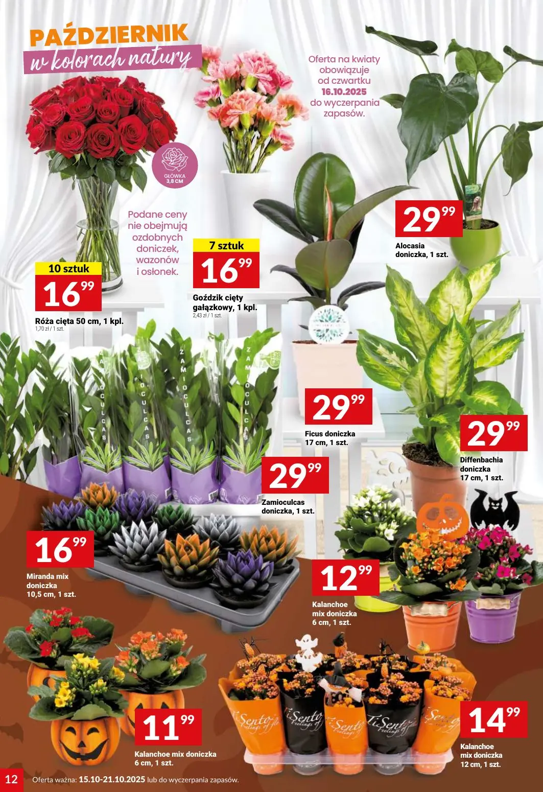 gazetka promocyjna Twój Market Czas pamięci - Strona 12