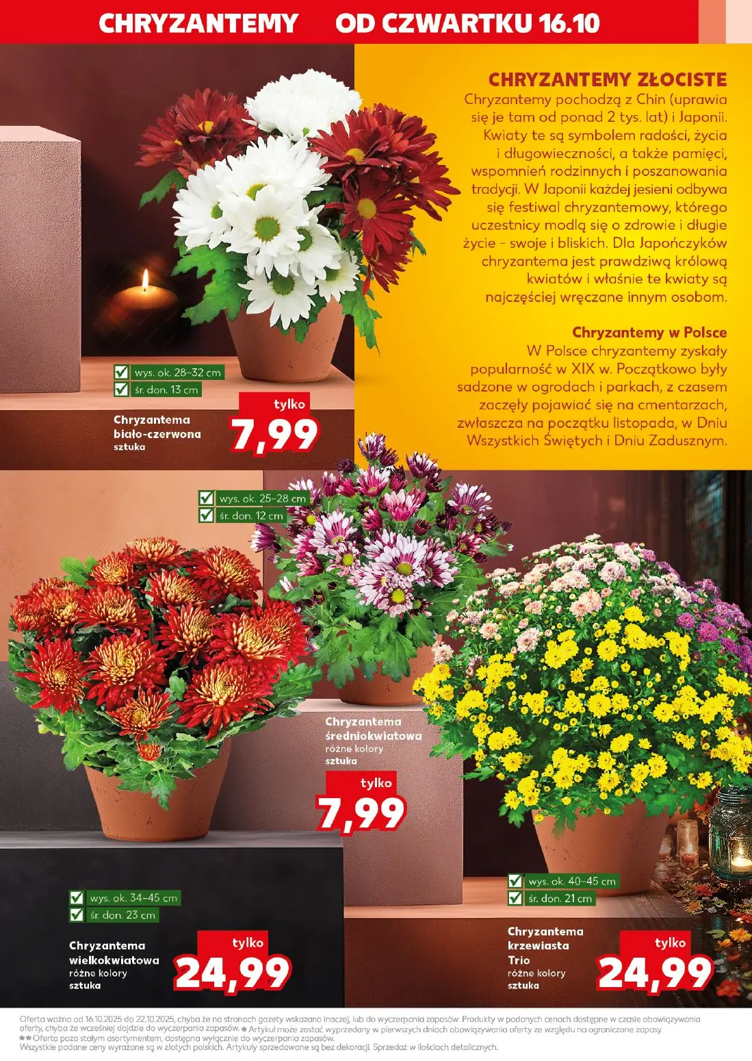 gazetka promocyjna Kaufland Pamiętaj, dbaj! - Strona 3