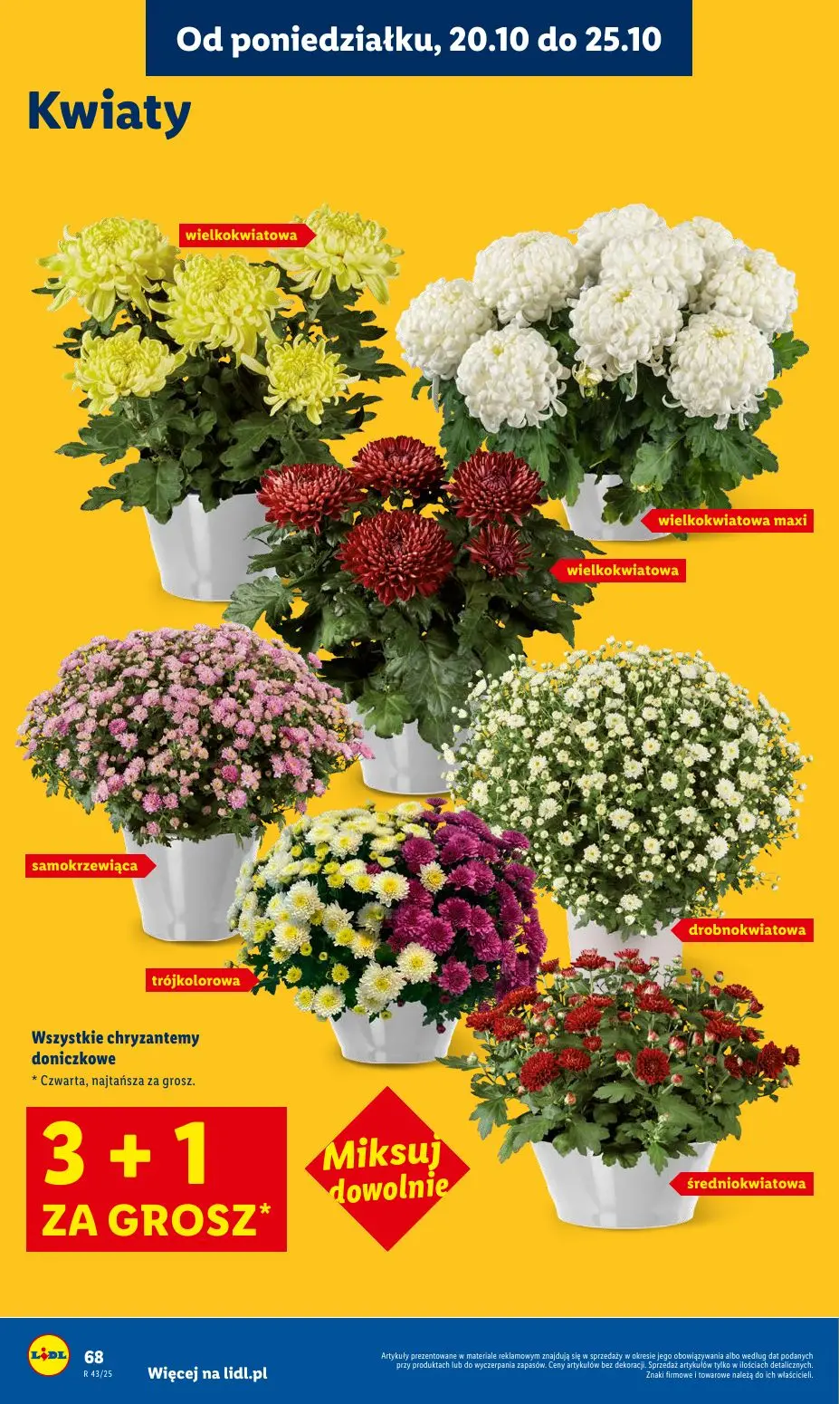 gazetka promocyjna LIDL Od poniedziałku - Strona 68
