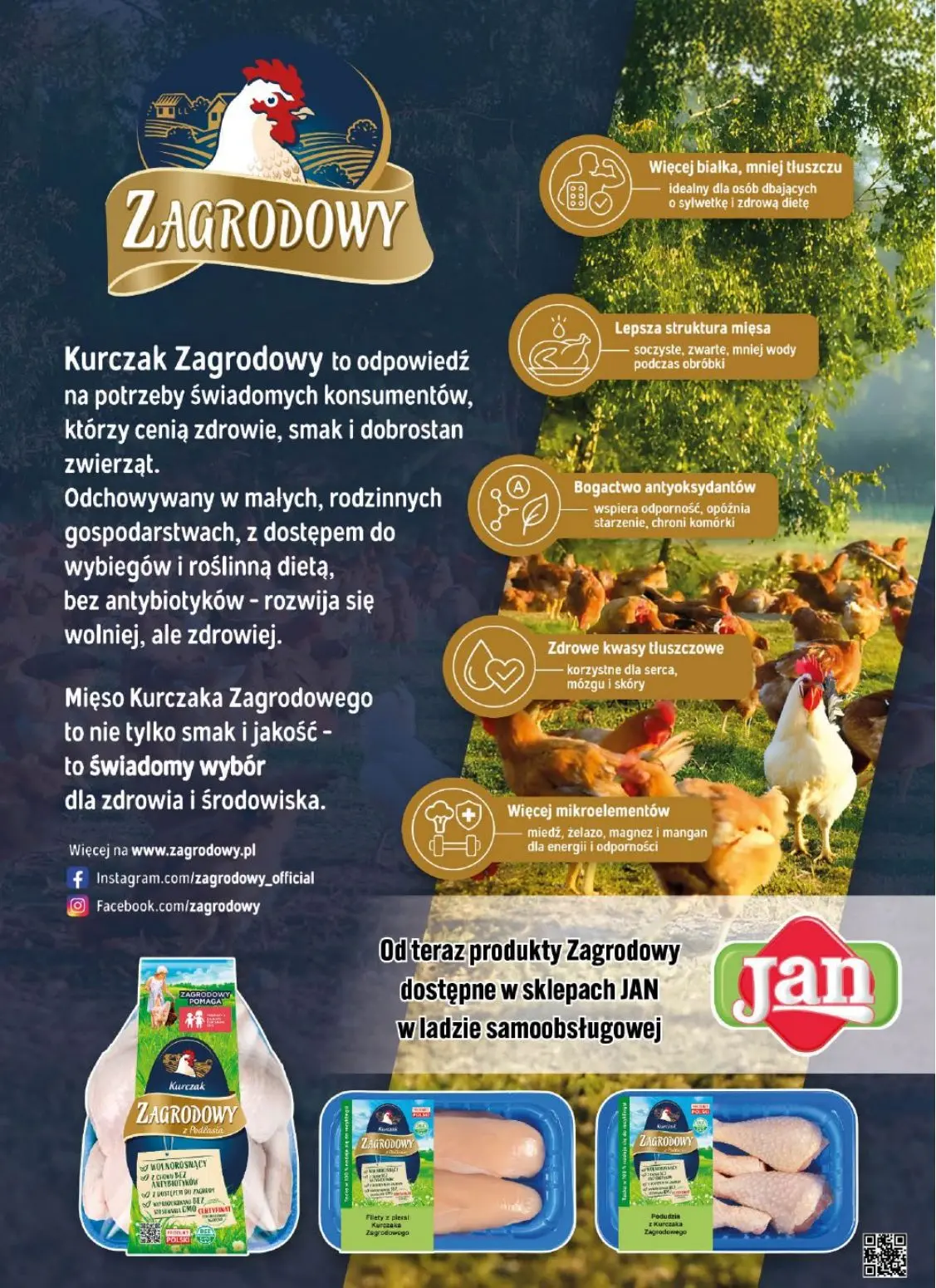 gazetka promocyjna Jan Ogólna - Strona 2