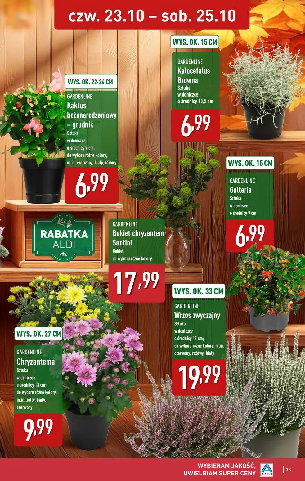 gazetka promocyjna ALDI Super ceny w tym tygodniu - Strona 33