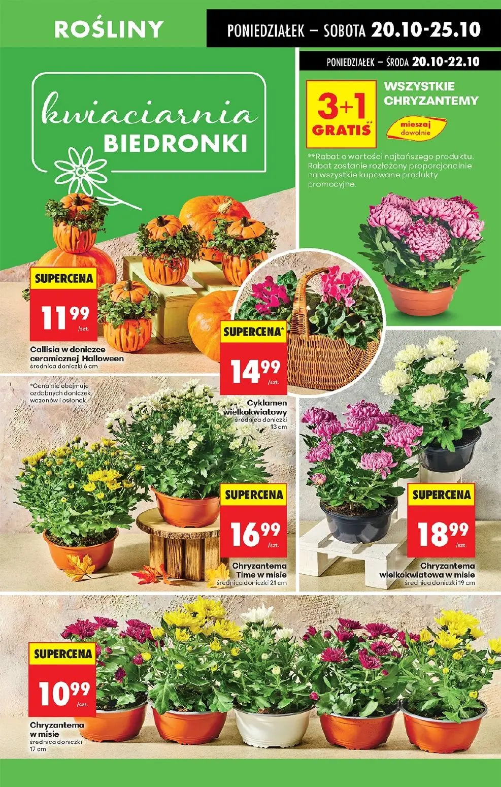 gazetka promocyjna Biedronka Lada tradycyjna. Od poniedziałku - Strona 75