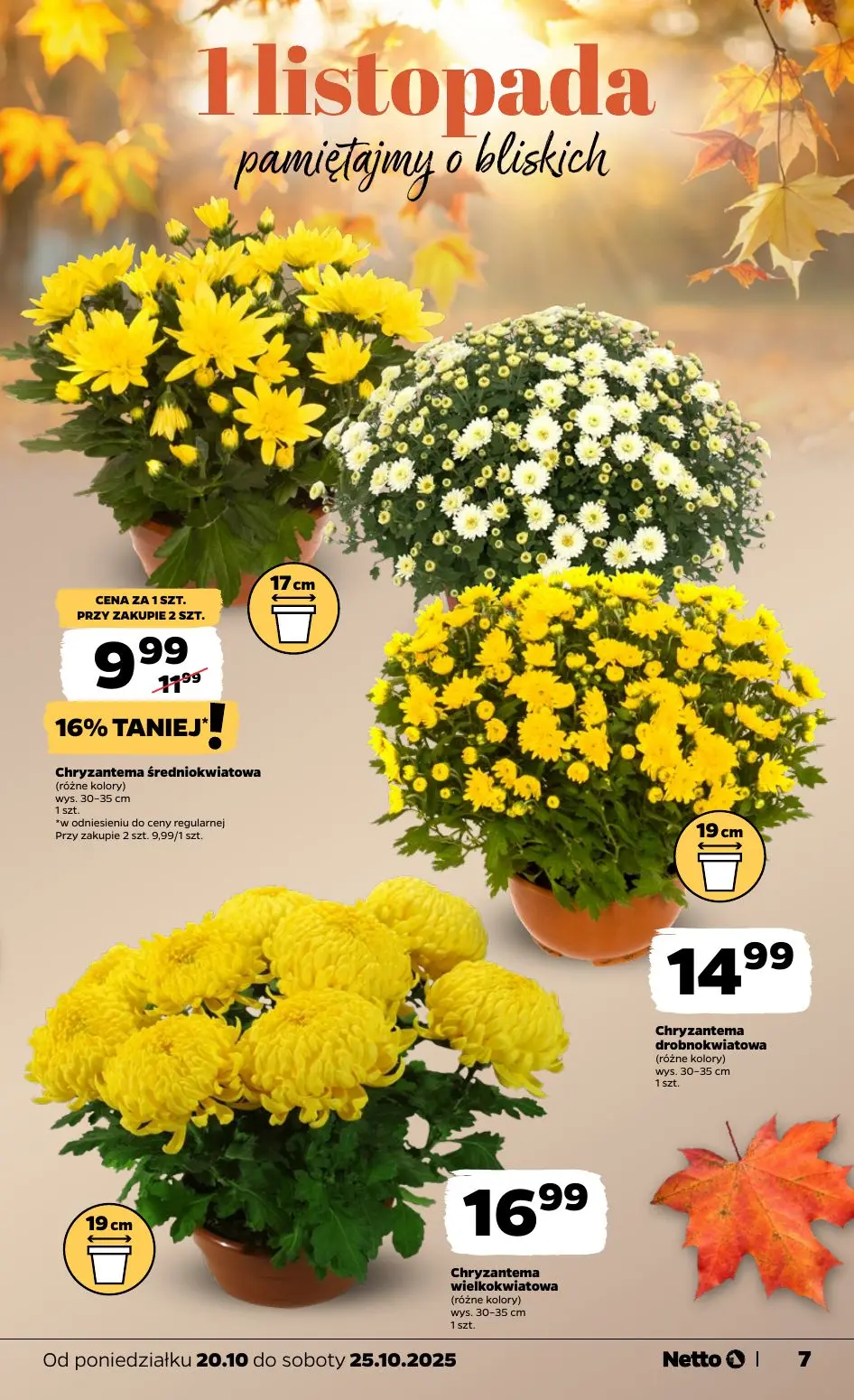gazetka promocyjna NETTO Od poniedziałku - Strona 7