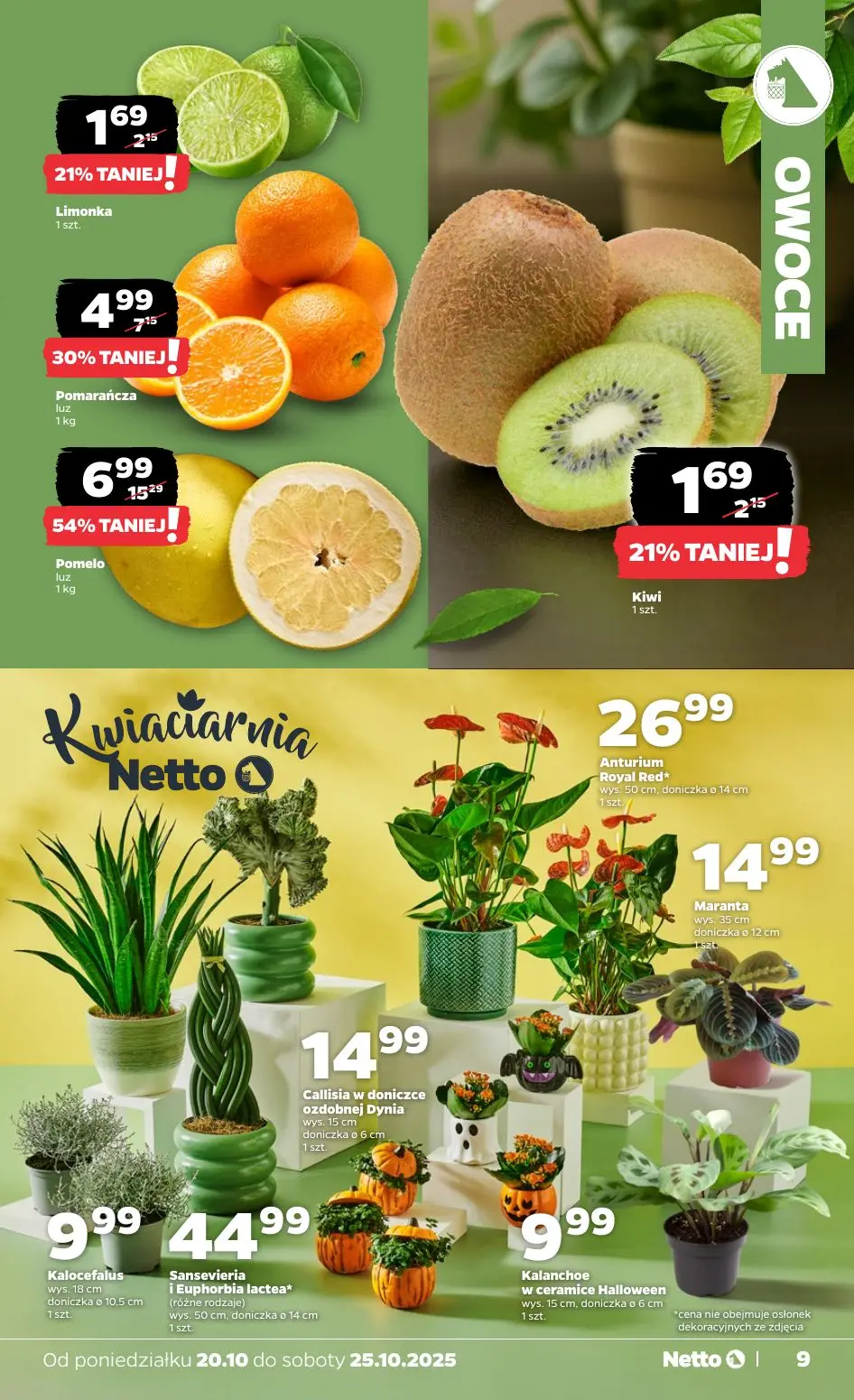 gazetka promocyjna NETTO Od poniedziałku - Strona 9