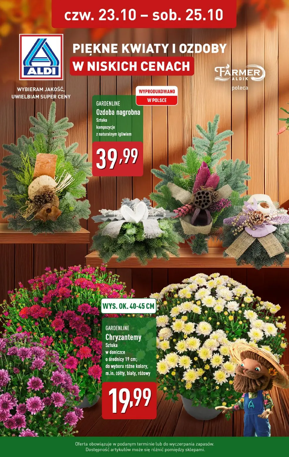 gazetka promocyjna ALDI Piękne kwiaty i ozdoby w niskich cenach - Strona 1