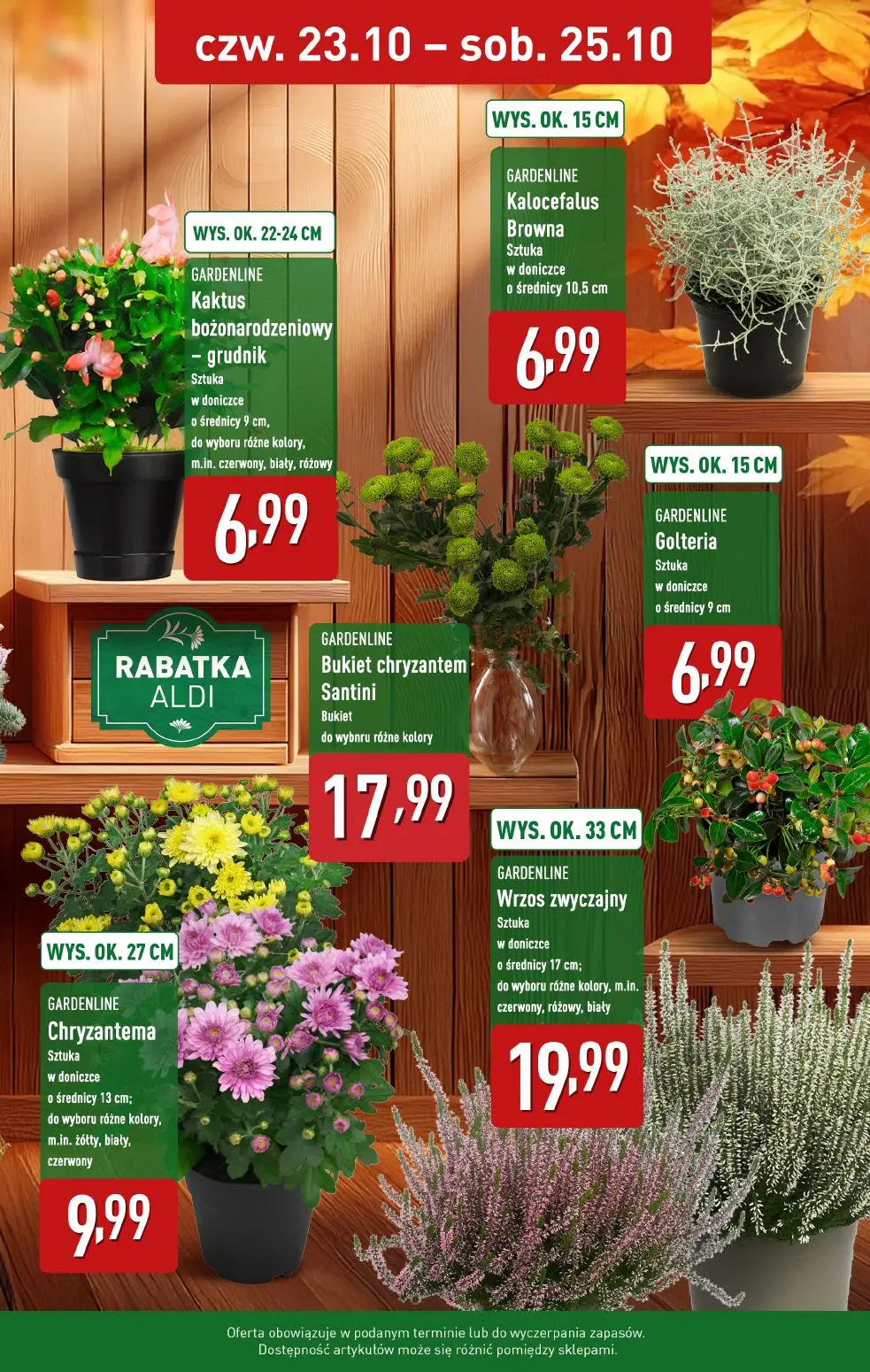 gazetka promocyjna ALDI Piękne kwiaty i ozdoby w niskich cenach - Strona 2