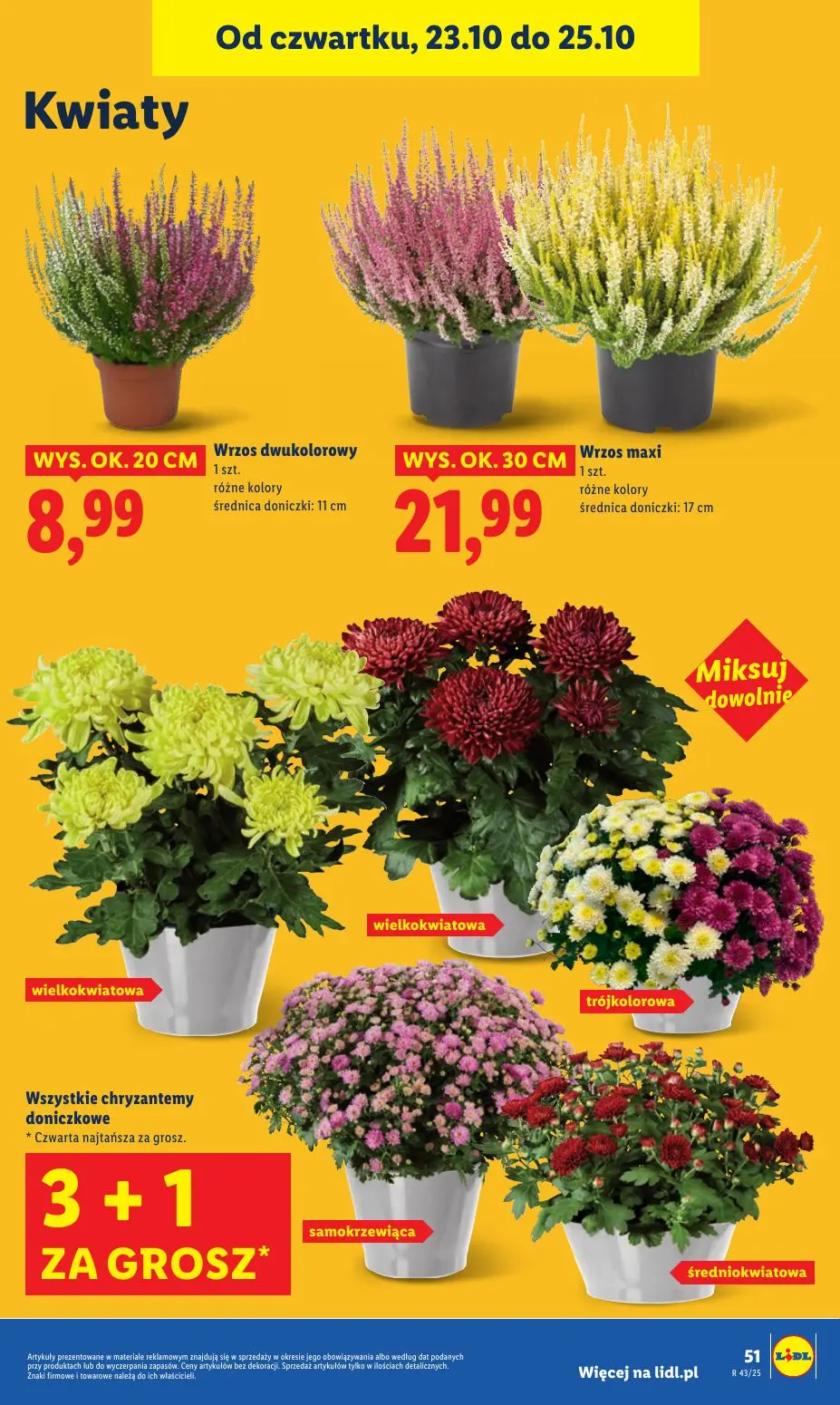 gazetka promocyjna LIDL Od czwartku - Strona 55