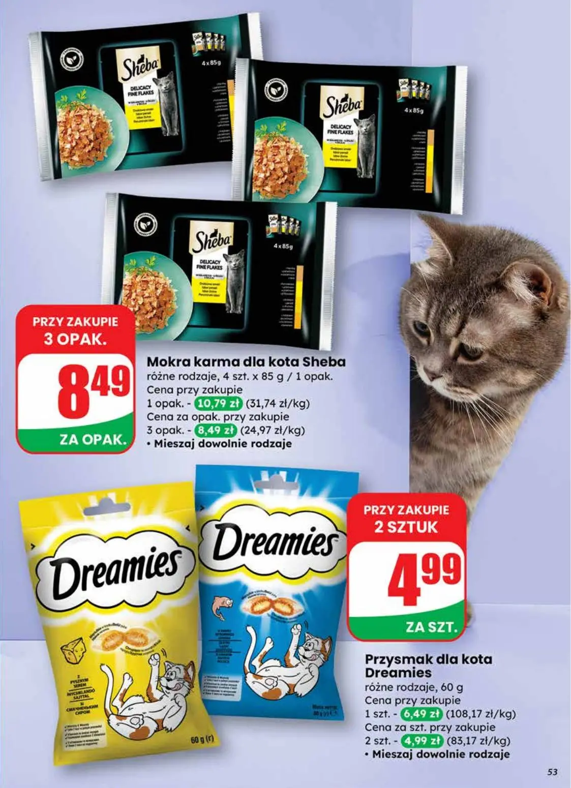 gazetka promocyjna dino Najbliżej Ciebie - Strona 53