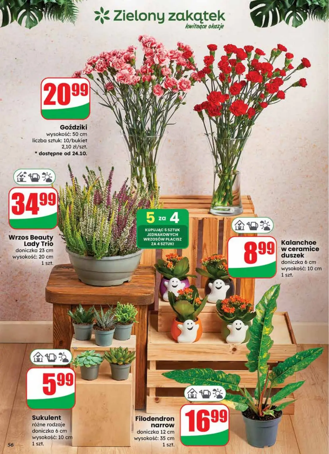 gazetka promocyjna dino Najbliżej Ciebie - Strona 56