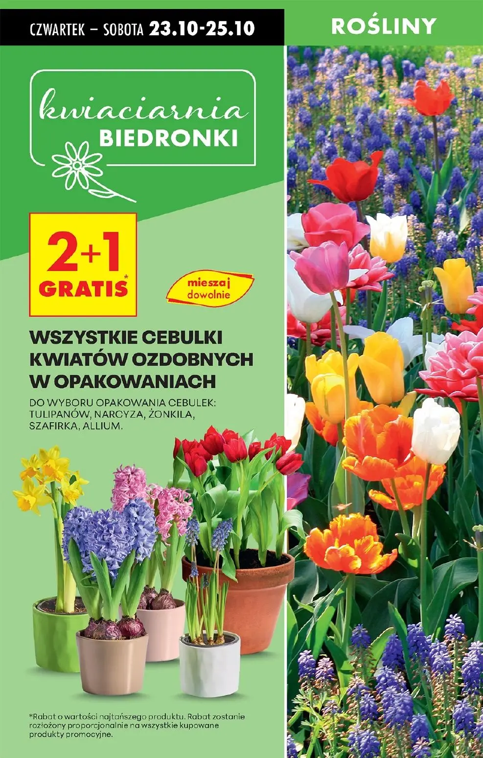 gazetka promocyjna Biedronka Od czwartku. Lada tradycyjna - Strona 19