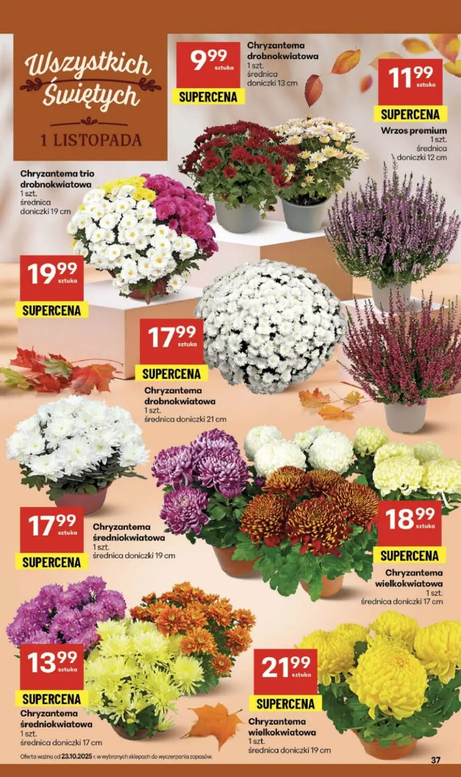 gazetka promocyjna Delikatesy Centrum Od czwartku - Strona 37