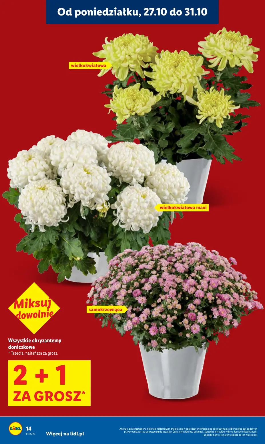 gazetka promocyjna LIDL Od poniedziałku - Strona 14