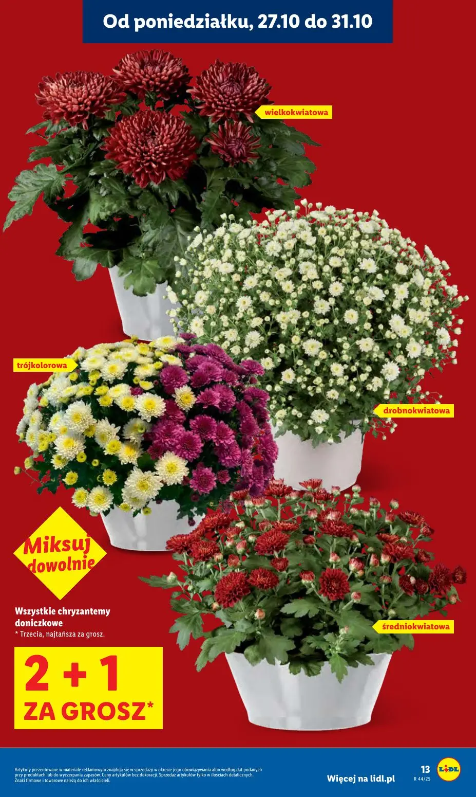 gazetka promocyjna LIDL Od poniedziałku - Strona 13