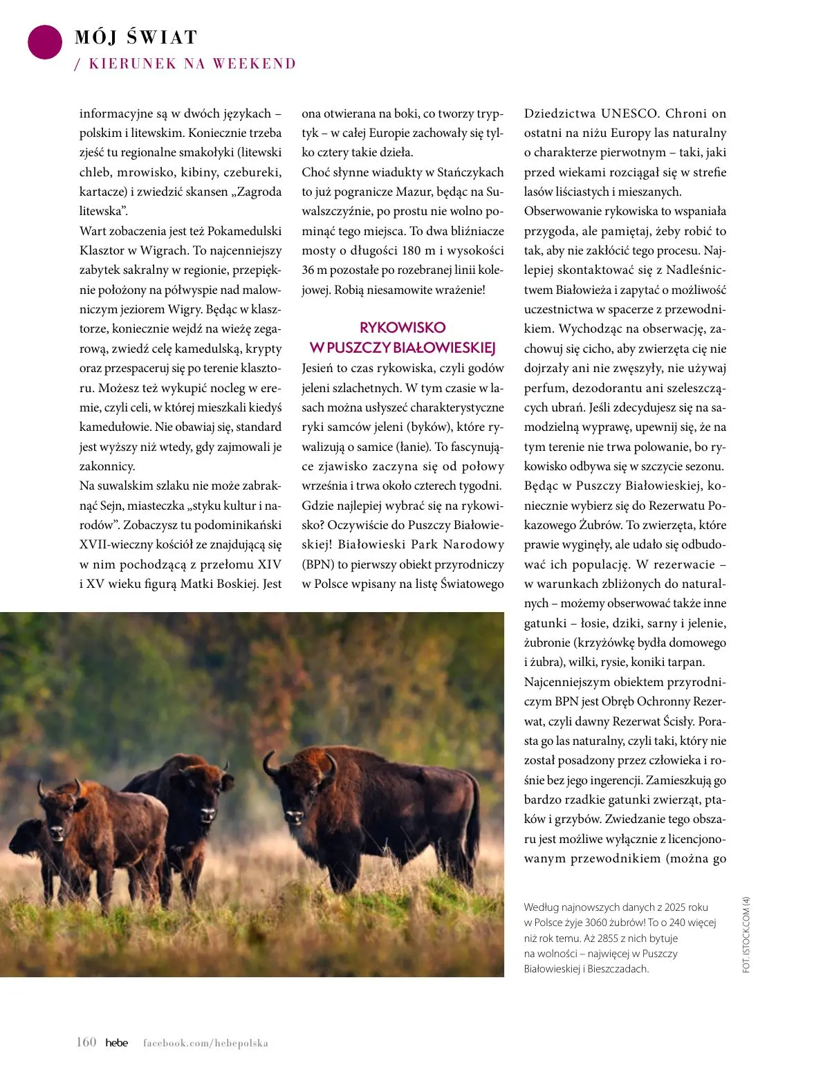 gazetka promocyjna hebe Kolorami jesień się zaczyna - Strona 160