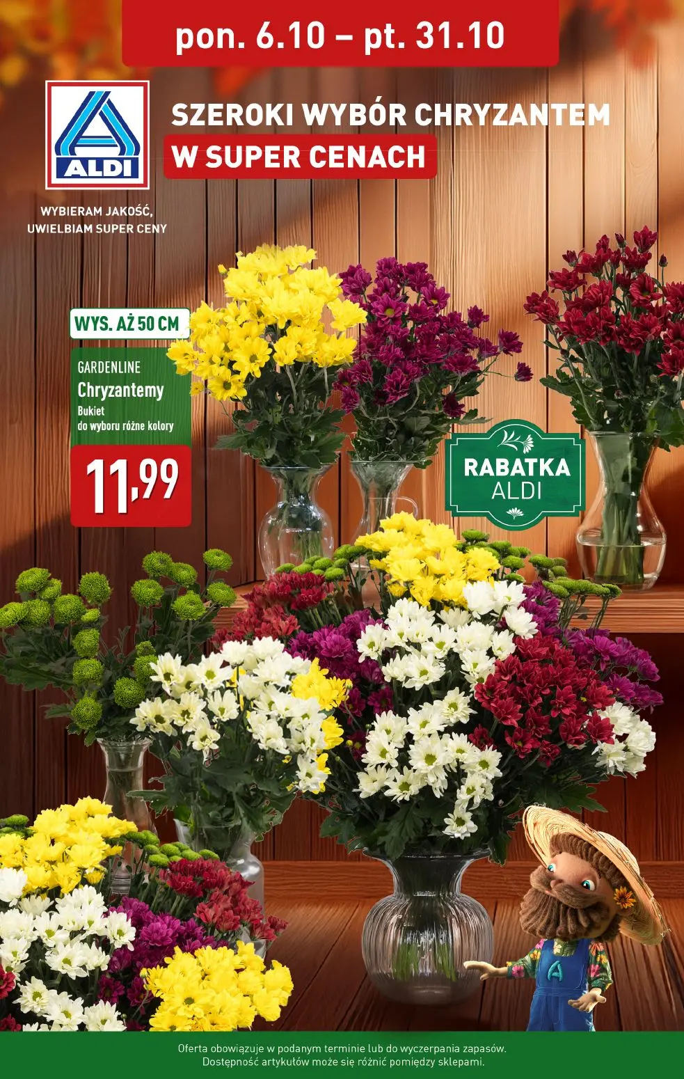 gazetka promocyjna ALDI Szeroki wybór chryzantem - Strona 1